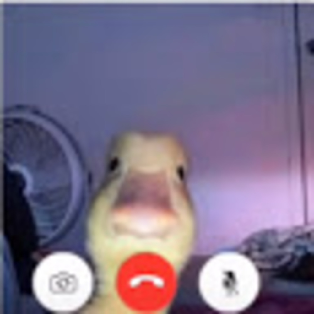 Meet your Posher, Naya kaylani